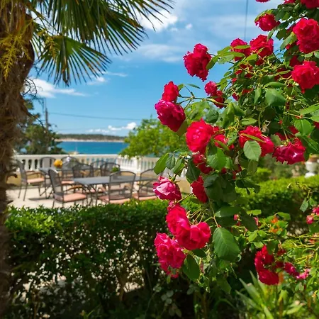 Guest house Captain's Club 3*
